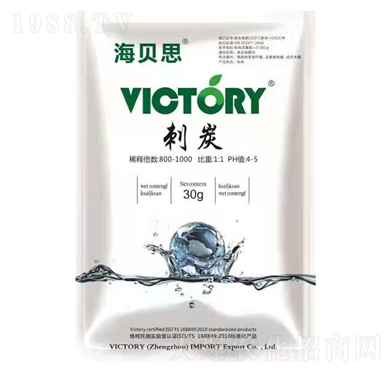 刺炭-海貝思-維柯托瑞