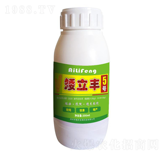 �����S5̖-��ֲ�S