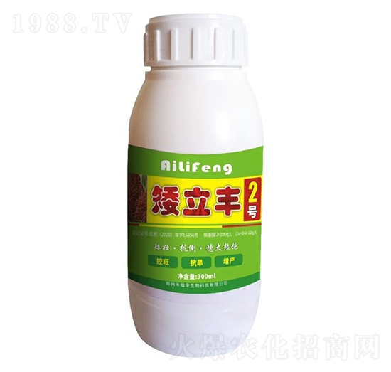 �����S2̖-��ֲ�S