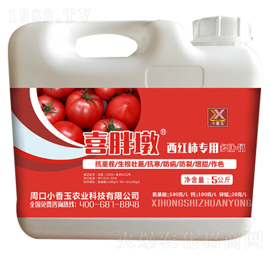 ���t�����ö��ġ��}-ϲ�ֶ�-С����