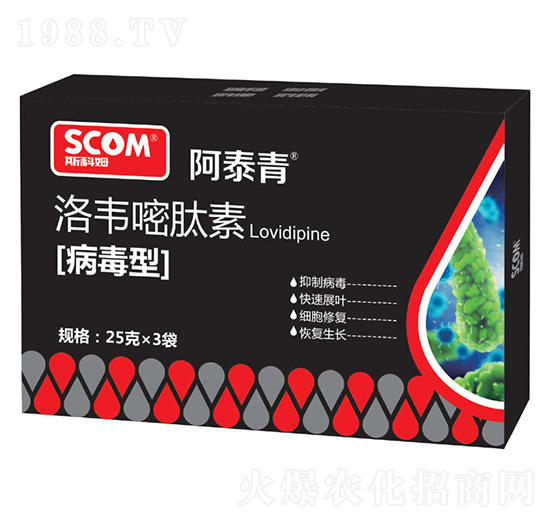 ���������f������-��̩��-˹��ķ