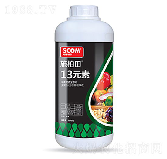 13元素-施柏田-斯科姆