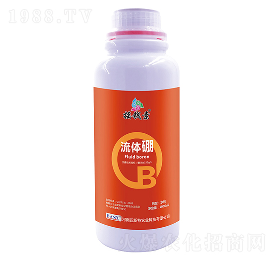 ���w��-�u�X������