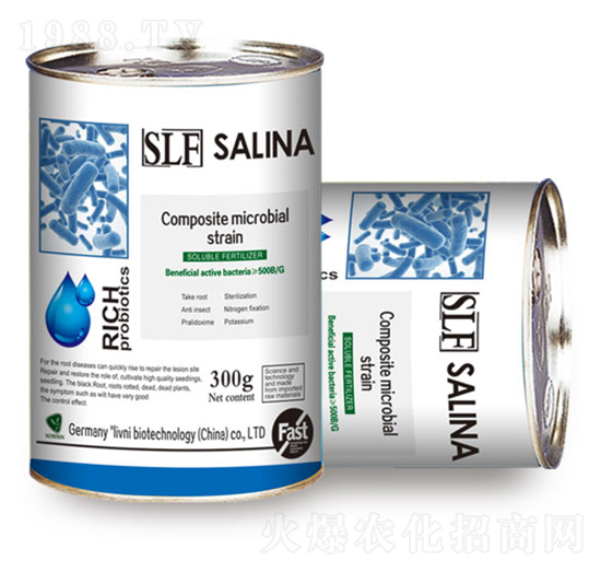 SLF艾瑞特復合微生物原菌種-銀米灘生物