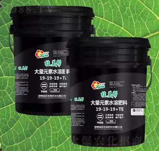 平衡型大量元素水溶肥19-19-19+TE-植美幫-綠蓓