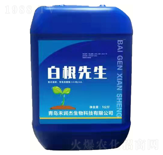 白根先生-悅地豐