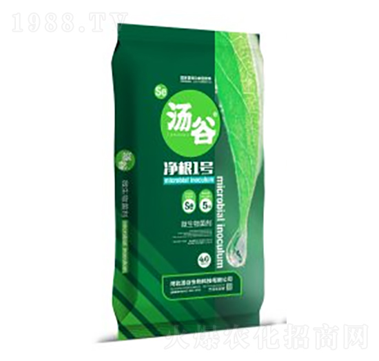 40kg΢�������-����1̖(h��o)-��������