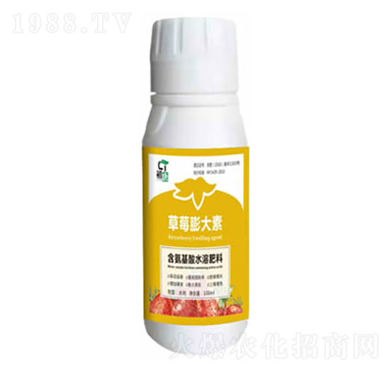 ��ݮ�����-����-�֮��