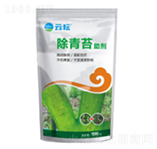 ����̦����-����