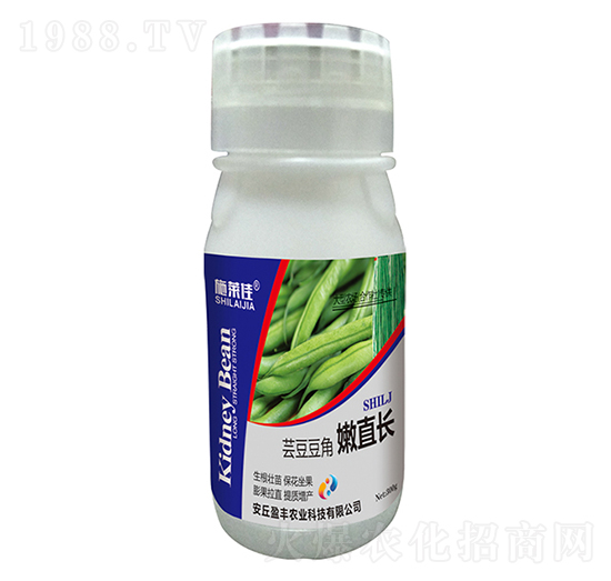 蕓豆豆角嫩直長-施萊佳-盈豐農(nóng)業(yè)