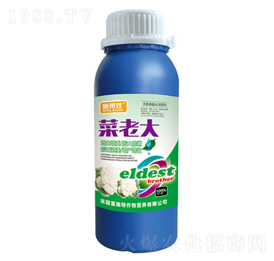 菜老大-施萊佳-盈豐農(nóng)業(yè)