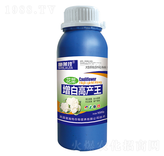 1000克花菜增白高產王-施萊佳-盈豐農業(yè)
