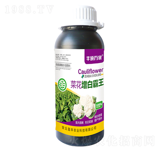 菜花增白霸王-豐碩萬(wàn)家-盈豐農(nóng)業(yè)