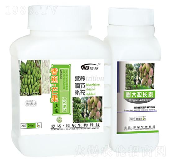 香蕉·芒果大寶-康普生