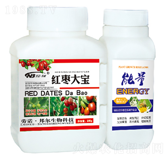 紅棗大寶+能量-康普生