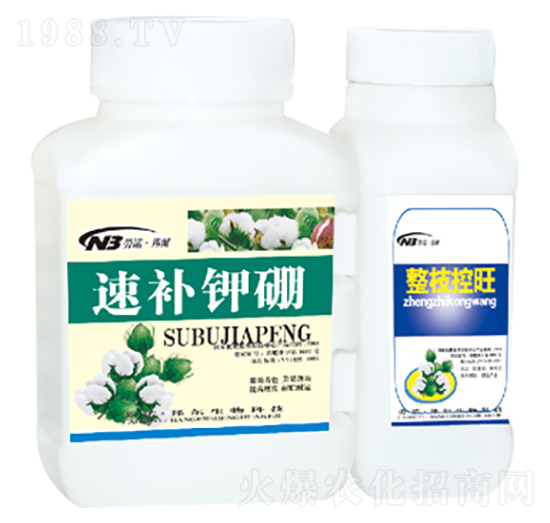 速補鉀硼+整枝控旺-康普生