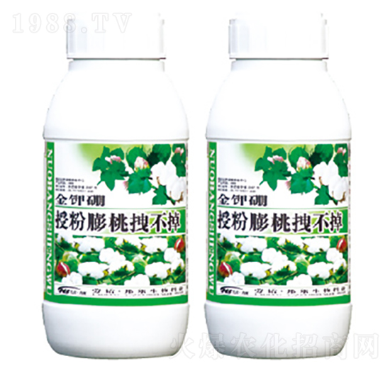 授粉膨桃拽不掉-康普生