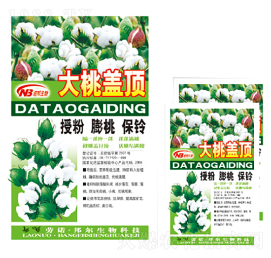 大桃蓋頂-康普生