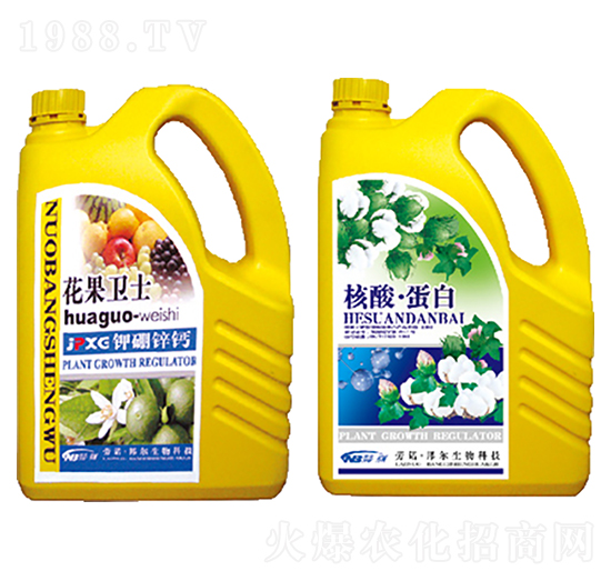 花果衛(wèi)士+核酸·蛋白-康普生