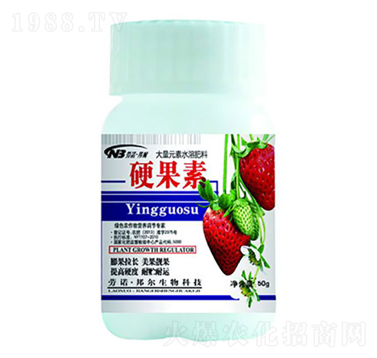 50g硬果素-康普生