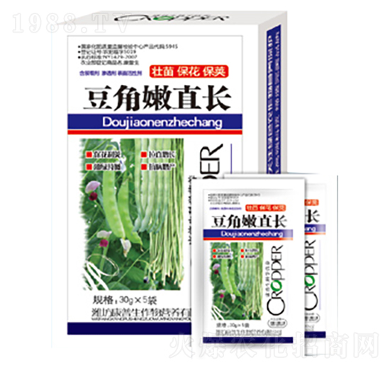 豆角嫩直長-康普生