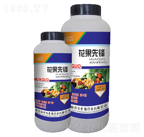 花果先鋒（瓶）-康普生