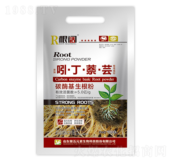 吲·丁·萘·蕓-根闊-第五元素