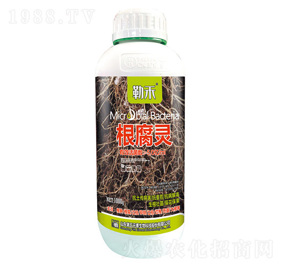 根腐靈-勒禾-第五元素