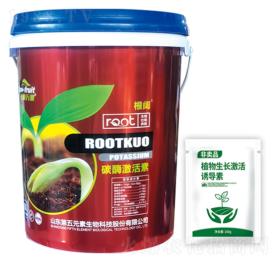 碳酶激活素-根闊-第五元素