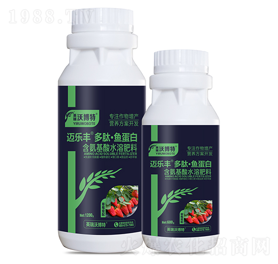 ��ݮ������ġ��~����-�~���S-Ӣ���ֲ���