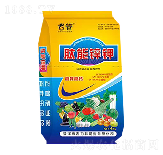 �����\�-�����طʘI(y��)