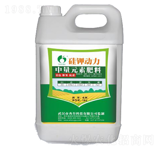 ����Ԫ�ط���-��⛄�(d��ng)��-�����r(n��ng)�I(y��)