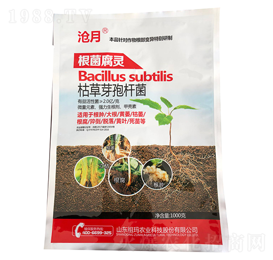 枯草芽孢桿菌-根菌腐靈-滄月-允發(fā)化工