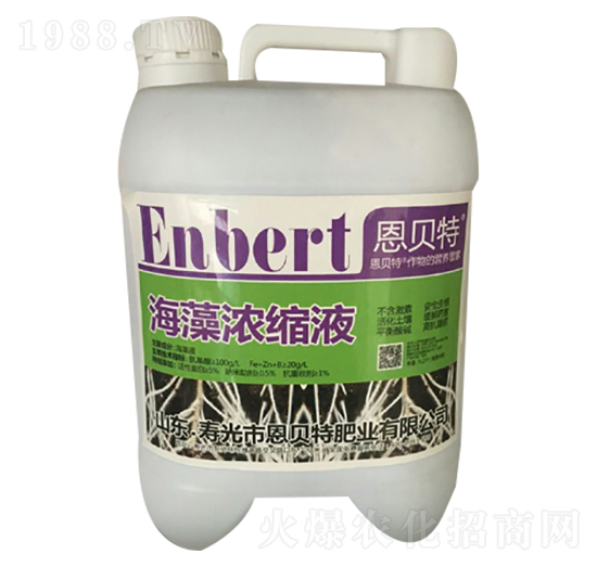 �����sҺ-��ؐ��