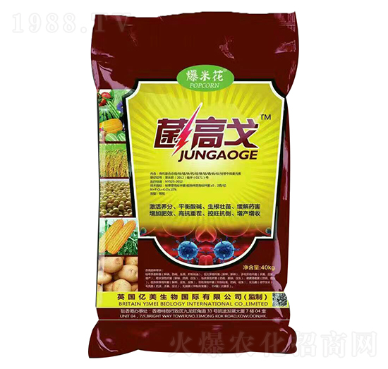 ���׻����߸�-�|������