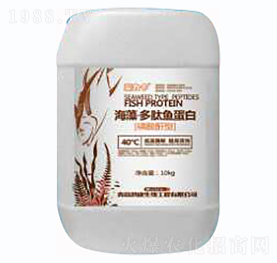 ��������~����-��������