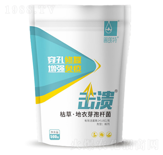 擊潰枯草地衣芽孢桿菌-圃朗特