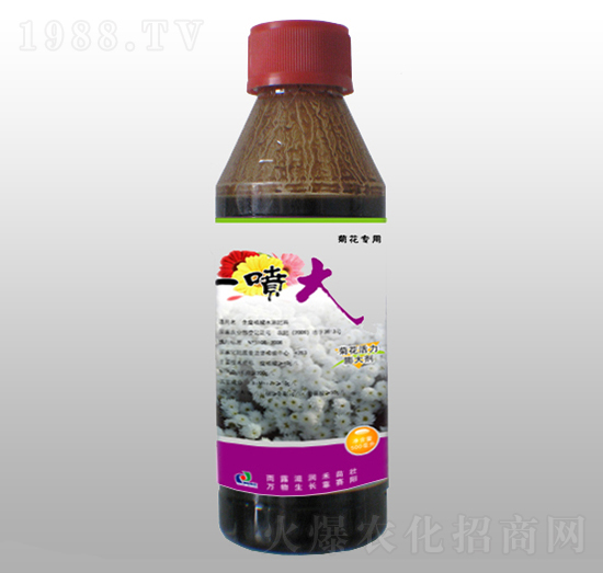 �ջ��������-һ����-ِ�����