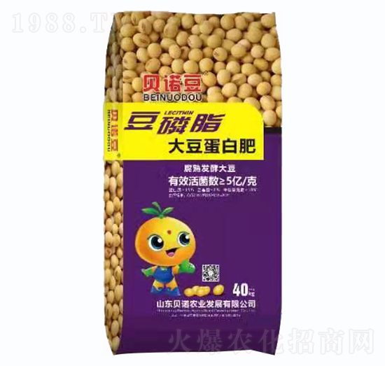 ����֬�󶹵��׷�-ؐ�Z��-ؐ�Z