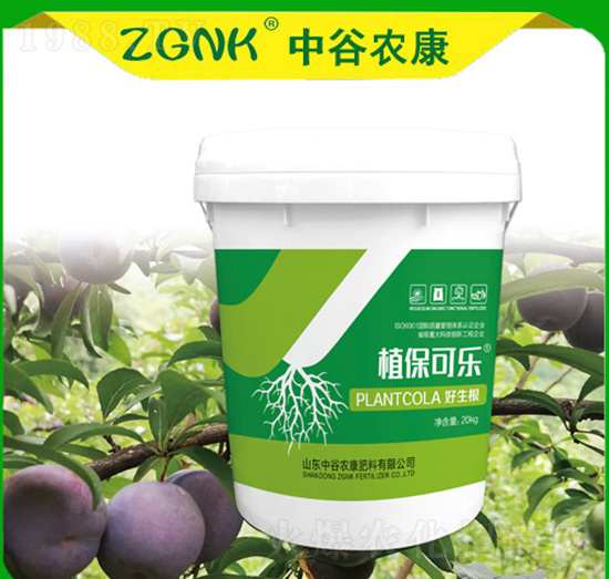 ������-ֲ���ɘ�(l��)-�й��r(n��ng)��