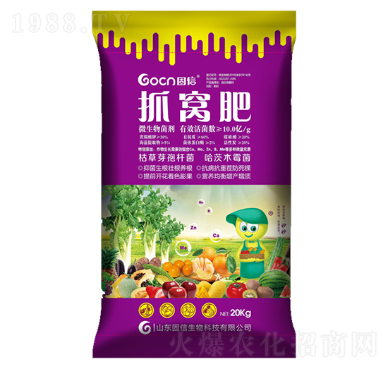 ץ�C��-��������