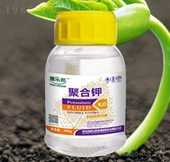 �ۺ��-����(l��)��