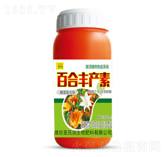 �ٺ��S�a(ch��n)��-ʥ�ϝ�