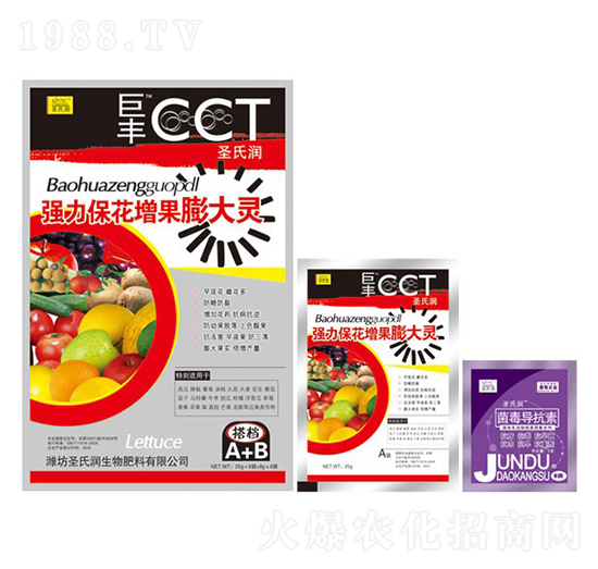 ��(qi��ng)��������������`-ʥ�ϝ�(r��n)