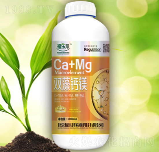 �p���}�V-����(l��)��