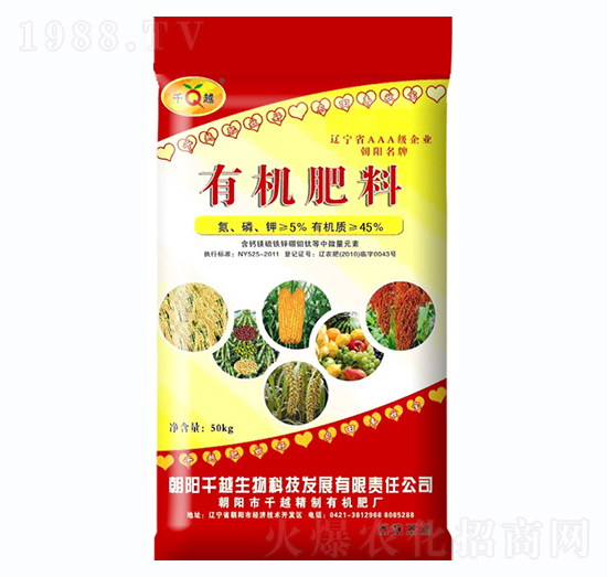 �ЙC����-ǧԽ