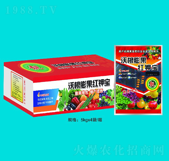 �ָ�����t⛌�-����ʘI(y��)