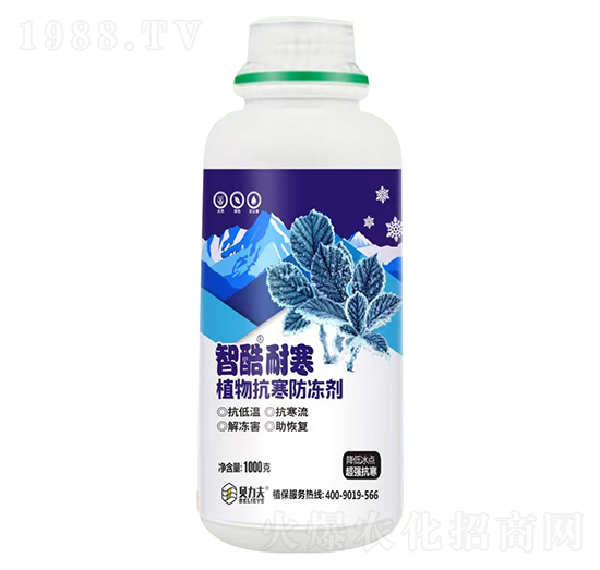 �ǿ��ͺ�ֲ�����������-� ��S