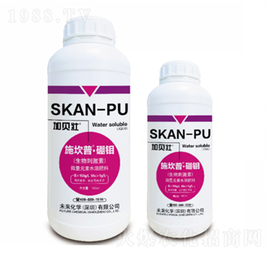 ʩ����-���f-δ�����W