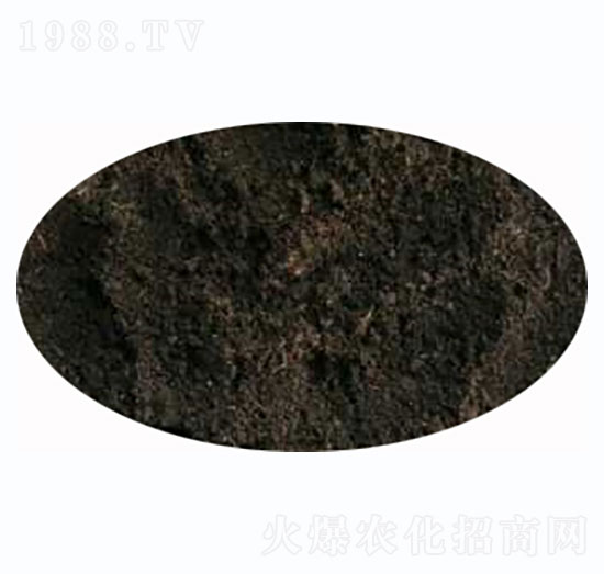 �l(f��)�ͼ���S�ЙC(j��)��-����r(n��ng)�I(y��)